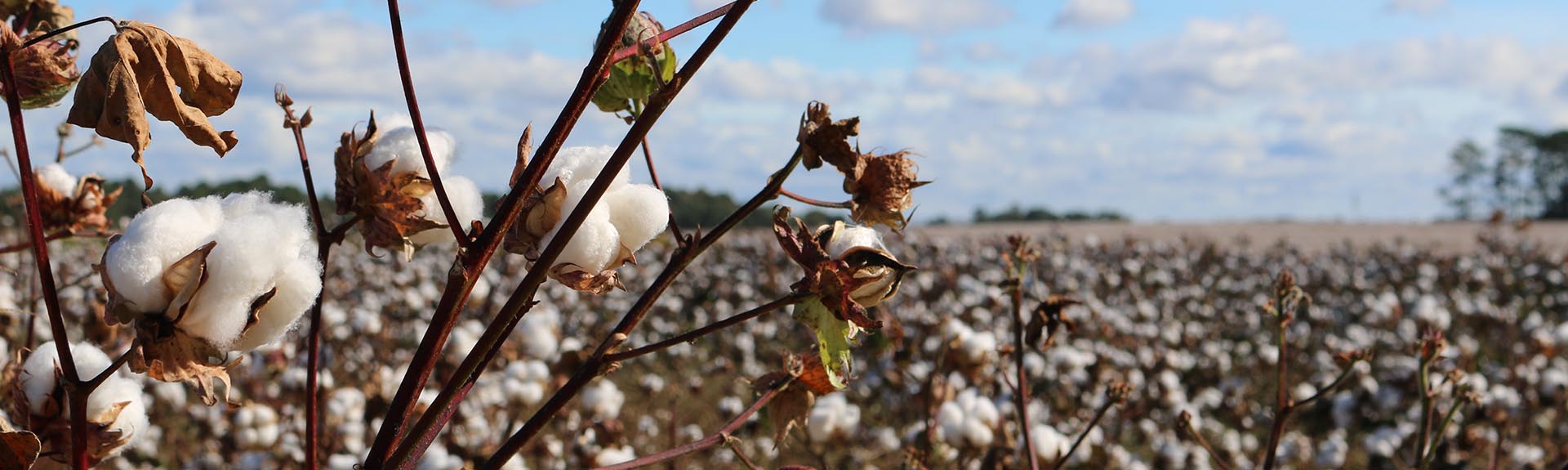 OVALAMA BORU VE MANŞON
